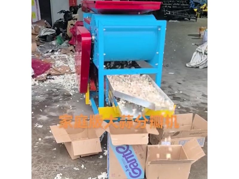 大蒜分瓣分选机视频