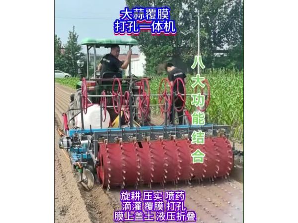 大蒜洋葱覆膜打孔一体机视频